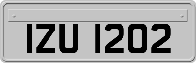 IZU1202