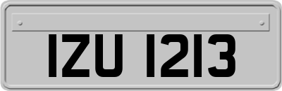 IZU1213