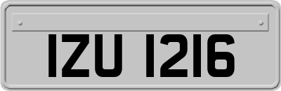 IZU1216