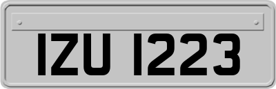 IZU1223