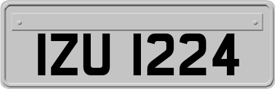 IZU1224