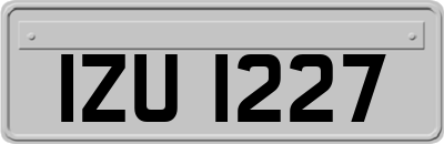 IZU1227