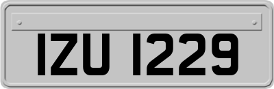 IZU1229