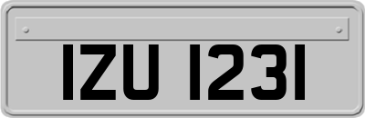 IZU1231
