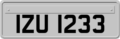 IZU1233