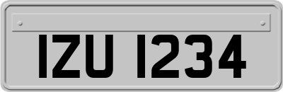 IZU1234