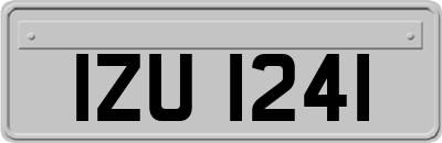 IZU1241