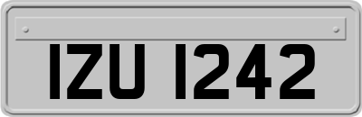 IZU1242