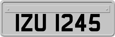 IZU1245