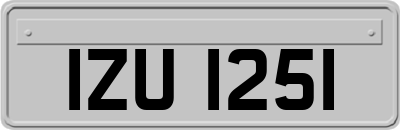 IZU1251