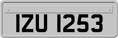 IZU1253