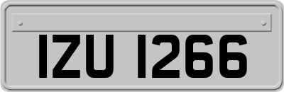 IZU1266