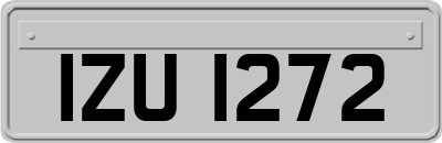 IZU1272