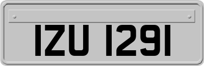IZU1291