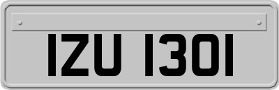 IZU1301