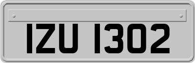 IZU1302