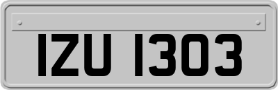 IZU1303