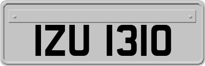 IZU1310