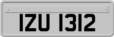 IZU1312