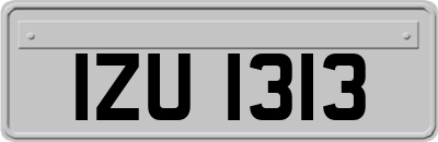 IZU1313