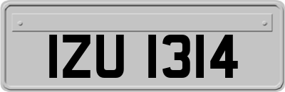 IZU1314