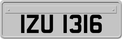 IZU1316