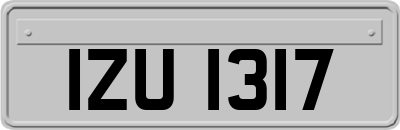 IZU1317