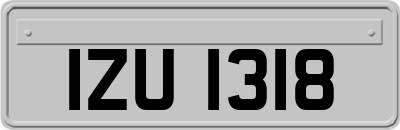 IZU1318