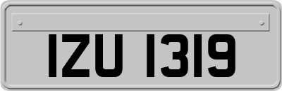 IZU1319