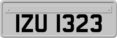 IZU1323