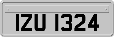 IZU1324