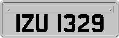 IZU1329