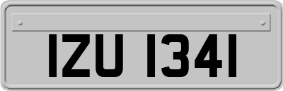 IZU1341