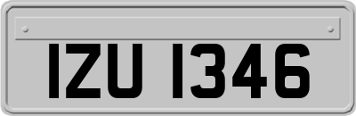 IZU1346