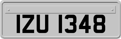 IZU1348