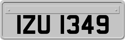 IZU1349