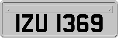 IZU1369