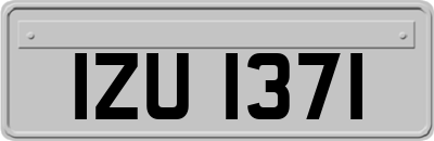 IZU1371
