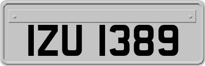 IZU1389