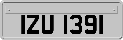 IZU1391