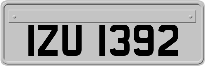 IZU1392