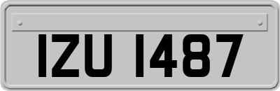 IZU1487
