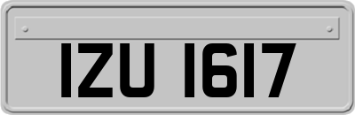 IZU1617