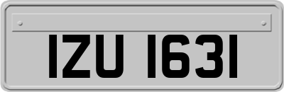 IZU1631