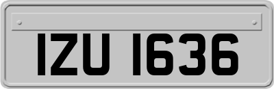 IZU1636
