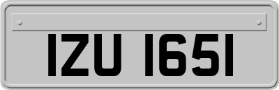 IZU1651