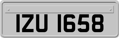 IZU1658