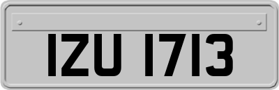 IZU1713