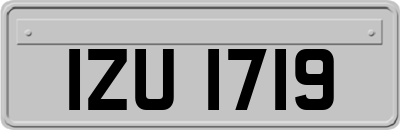 IZU1719