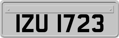 IZU1723
